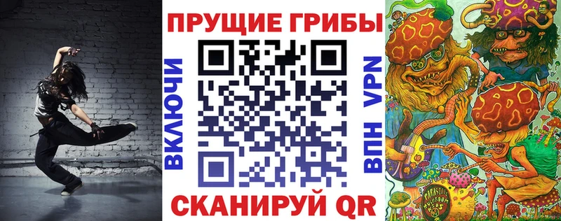Купить где  Слободской  Галлюциногенные грибы GOLDEN TEACHER 